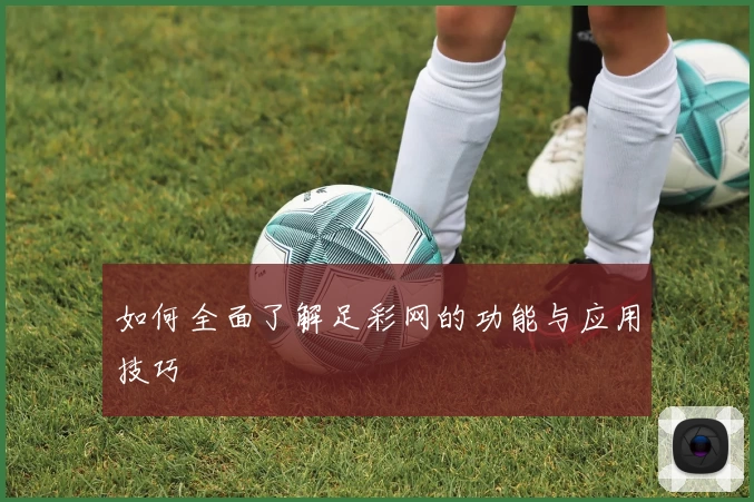 如何全面了解足彩网的功能与应用技巧