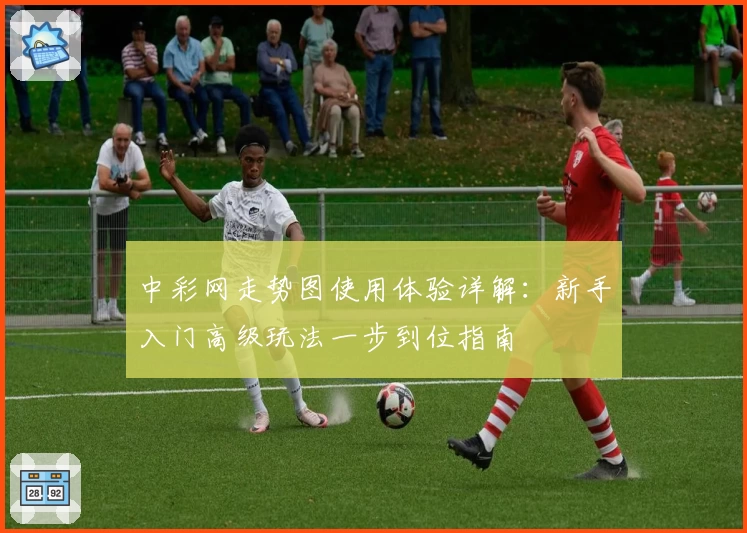 中彩网走势图使用体验详解：新手入门高级玩法一步到位指南