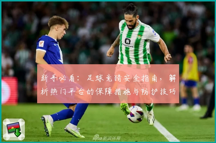 新手必看:足球竞猜安全指南,解析热门平台的保障措施与防护技巧
