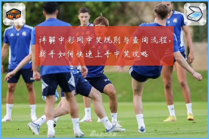 详解中彩网中奖规则与查询流程，新手如何快速上手中奖攻略