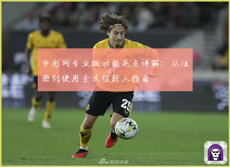 中彩网专业版功能亮点详解：从注册到使用全流程新人指南