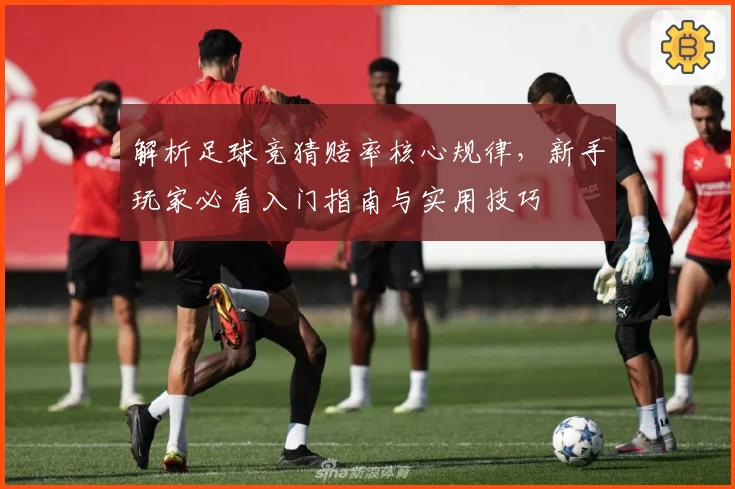 解析足球竞猜赔率核心规律，新手玩家必看入门指南与实用技巧