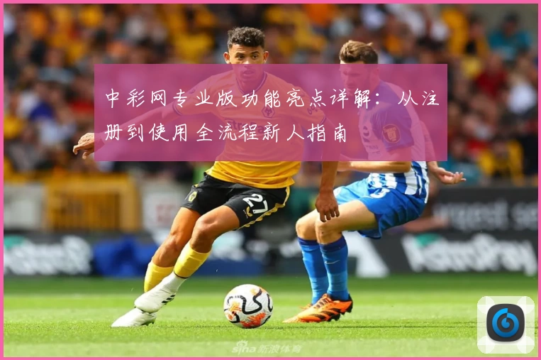 中彩网专业版功能亮点详解：从注册到使用全流程新人指南