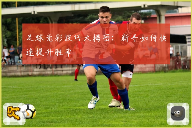 足球竞彩技巧大揭密：新手如何快速提升胜率